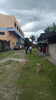 LOT FOR SALE IN CABANCALAN MANDAUE WITH WAREHOUSE AND BUILDING