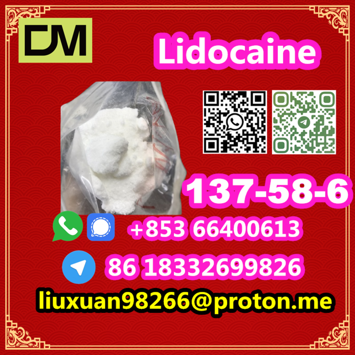 2nd picture of Manufacturer Supply Raw Material CAS 137-58-6 Lidocaine For Sale in Cebu, Philippines