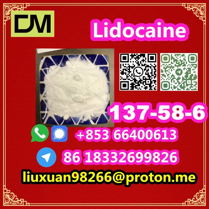 5th picture of Manufacturer Supply Raw Material CAS 137-58-6 Lidocaine For Sale in Cebu, Philippines