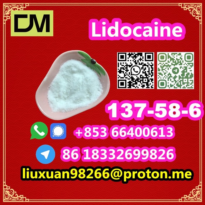 4th picture of Manufacturer Supply Raw Material CAS 137-58-6 Lidocaine For Sale in Cebu, Philippines