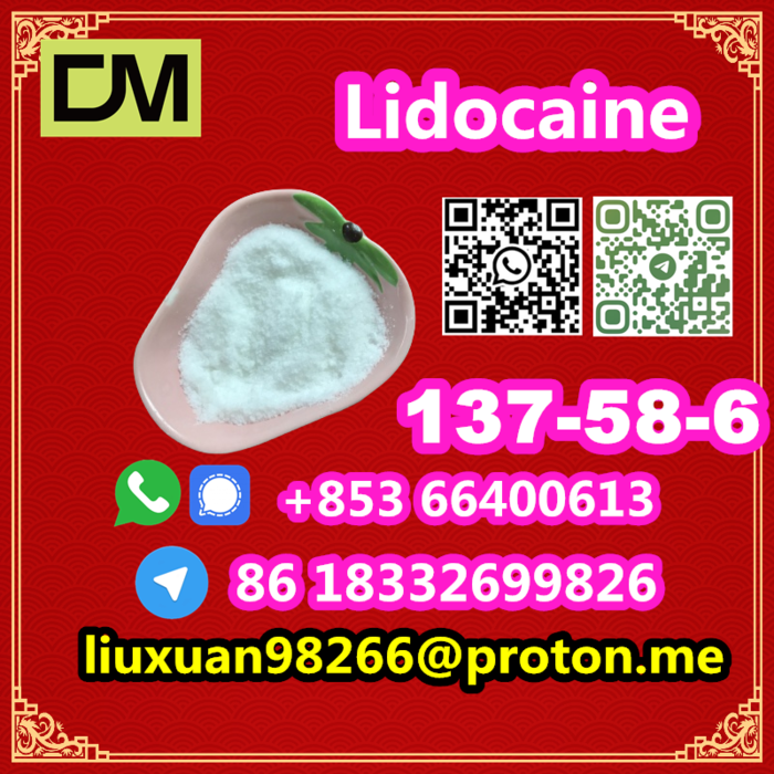 4th picture of Manufacturer Supply Raw Material CAS 137-58-6 Lidocaine For Sale in Cebu, Philippines