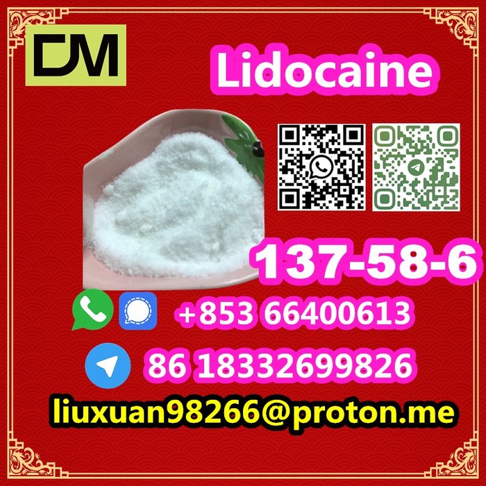 2nd picture of Manufacturer Supply Raw Material CAS 137-58-6 Lidocaine For Sale in Cebu, Philippines