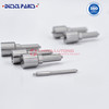 Common Rail Fuel Injector Nozzle G3P005