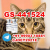 GS-441524 FIP  Feline Infectious Peritonitis