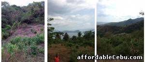 1st picture of Tagaytay Lot for Developers For Sale in Cebu, Philippines