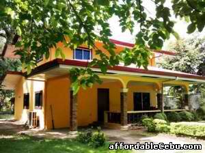 1st picture of House for sale in marigondon mactan big lot area - near beaches For Sale in Cebu, Philippines