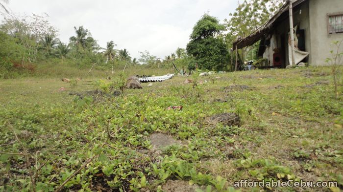 1st picture of House and Lot for Sale in MoalBoal, Cebu For Sale in Cebu, Philippines