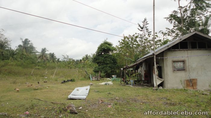 2nd picture of House and Lot for Sale in MoalBoal, Cebu For Sale in Cebu, Philippines