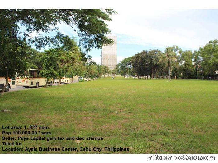1st picture of Lot for sale at Ayala Business Center, Cebu City, Philippines For Sale in Cebu, Philippines