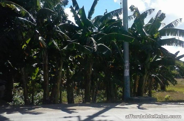 1st picture of Lot for sale For Sale in Cebu, Philippines