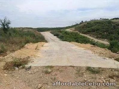 4th picture of Subdivide lot for sale For Sale in Cebu, Philippines