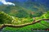 Banaue tour, 3 days with private transport for 4