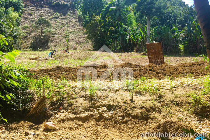 4th picture of Greece Ville Subdivision(LOT ONLY) Cambanay, Danao, City For Sale in Cebu, Philippines