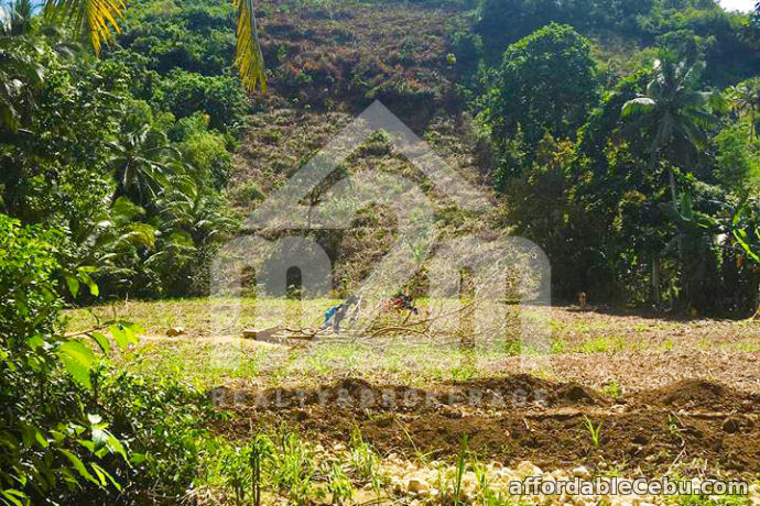 1st picture of Greece Ville Subdivision(LOT ONLY) Cambanay, Danao, City For Sale in Cebu, Philippines