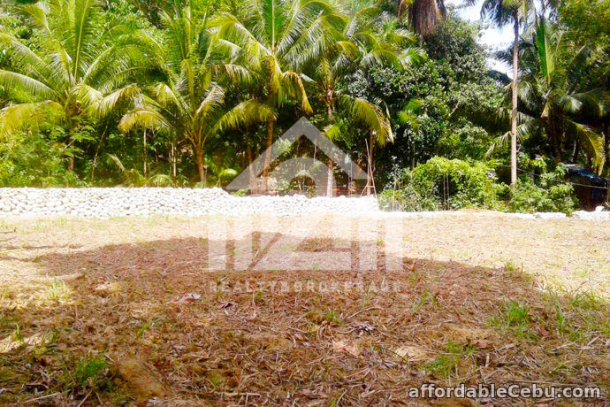 3rd picture of Greece Ville Subdivision(LOT ONLY) Cambanay, Danao, City For Sale in Cebu, Philippines