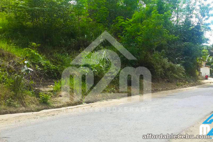 2nd picture of Lot For Sale - Sunflower Valley(LOT ONLY) Bagalnga, Compostela Cebu For Sale in Cebu, Philippines