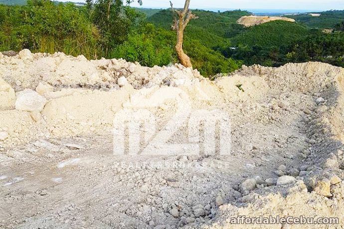 5th picture of Alexaville Compostela(LOT ONLY) For Sale in Cebu, Philippines