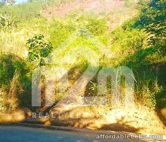 3rd picture of Lot For Sale - Sunflower Valley(LOT ONLY) Bagalnga, Compostela Cebu For Sale in Cebu, Philippines