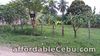 For Sale Residential or Industrial Lot in Talisay City Cebu near SRP