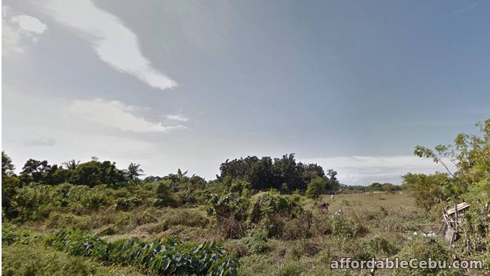3rd picture of lot for sale For Sale in Cebu, Philippines