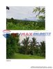 For Sale Lot in Paraiso, Lemery Batangas