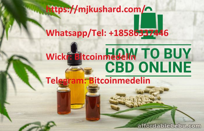 1st picture of how to buy CBD oil in Europe For Sale in Cebu, Philippines