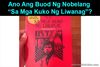 Picture of Ano Ang Buod Ng Nobelang “Kuko Ng Liwanag”?