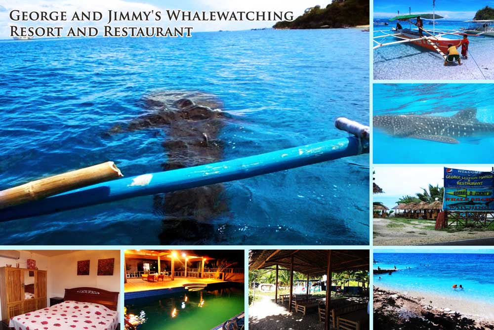 GEORGE & JIMMY'S WHALEWATCHING RESORT AND RESTAURANT