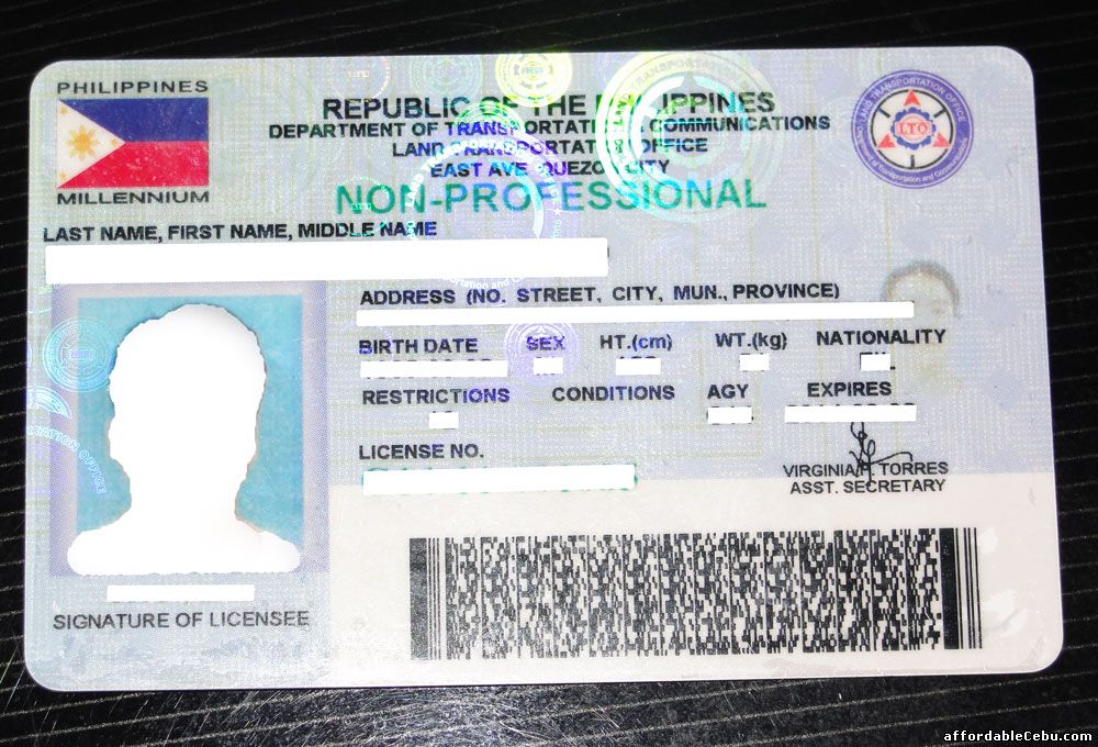 Top 30 Valid IDs in the Philippines - Philippine Government 109